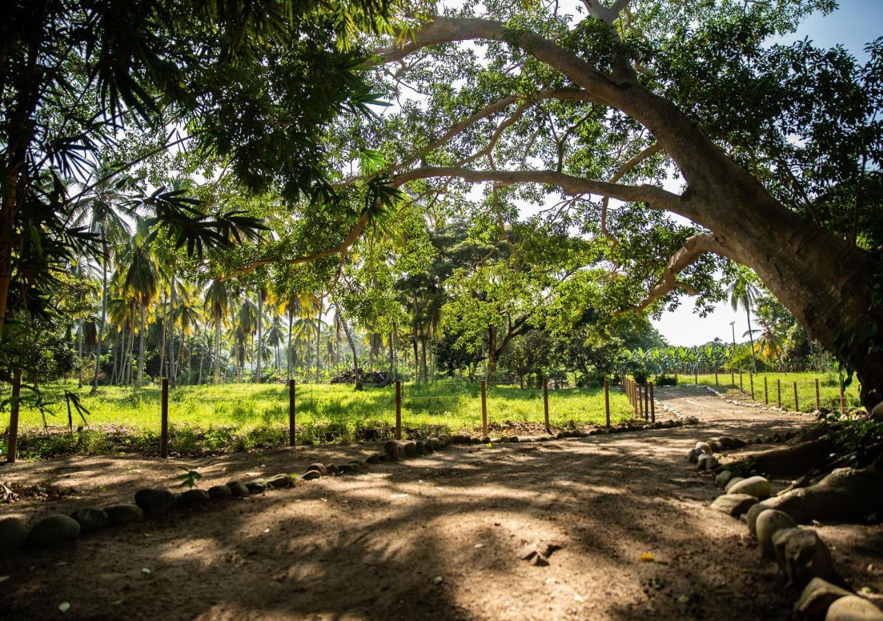 Hotel La Finca Buritaca by DOT Premium Exterior foto
